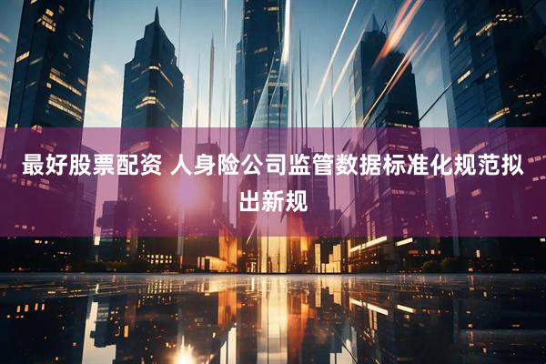 最好股票配资 人身险公司监管数据标准化规范拟出新规
